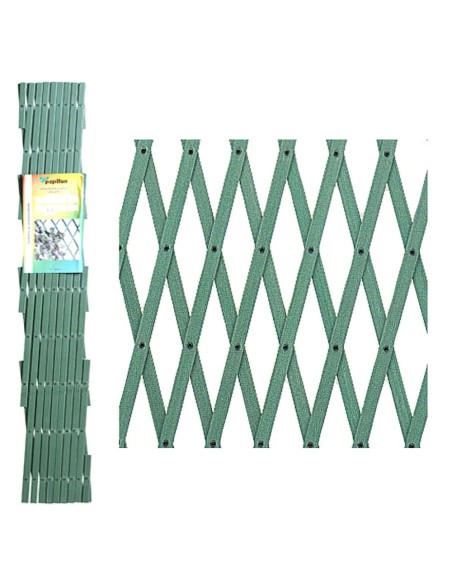 08091545